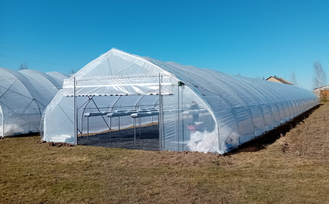 Tunnel maasikate kasvatamiseks 8x50 meetrit (ilma otsteta)