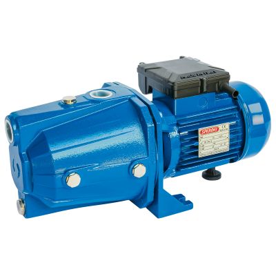 Vee pump CAM 100/A-HL 0.75 kW 230V